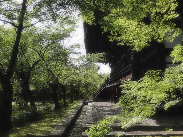 shinnyodo351.jpg