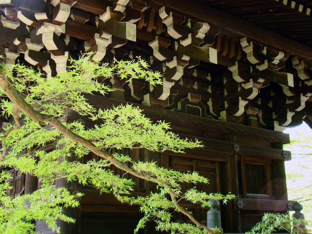 shinnyodo351.jpg