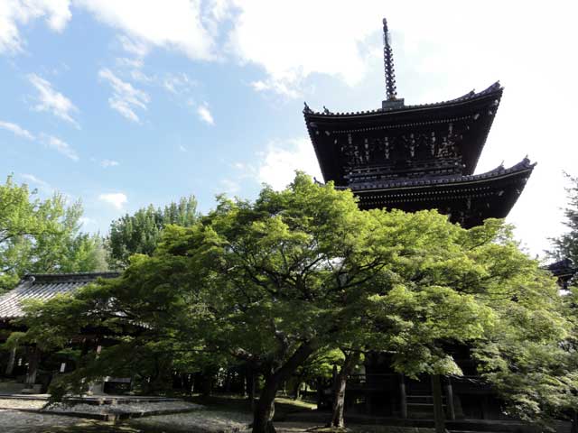 shinnyodo351.jpg