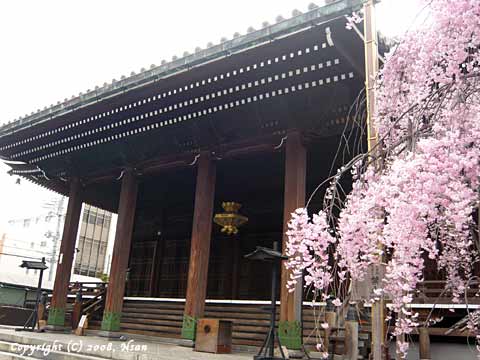 bukkoji