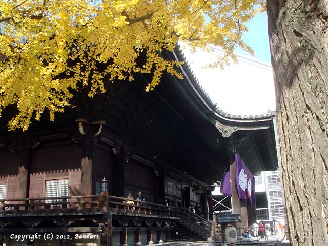 higashihonganji21.jpg