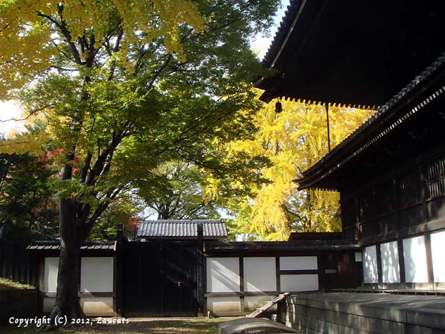 higashihonganji21.jpg