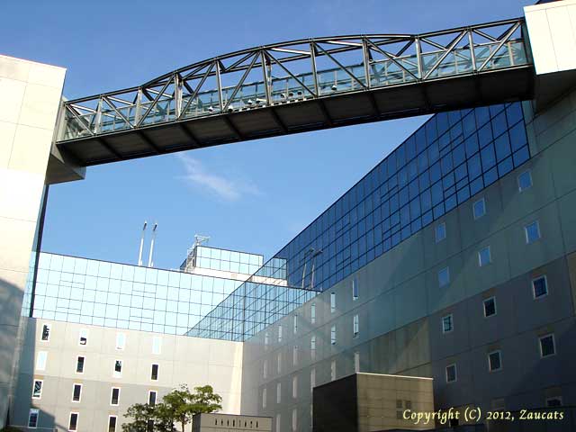 skyway12.jpg