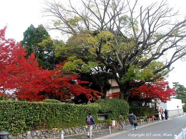 arashiyama0611261