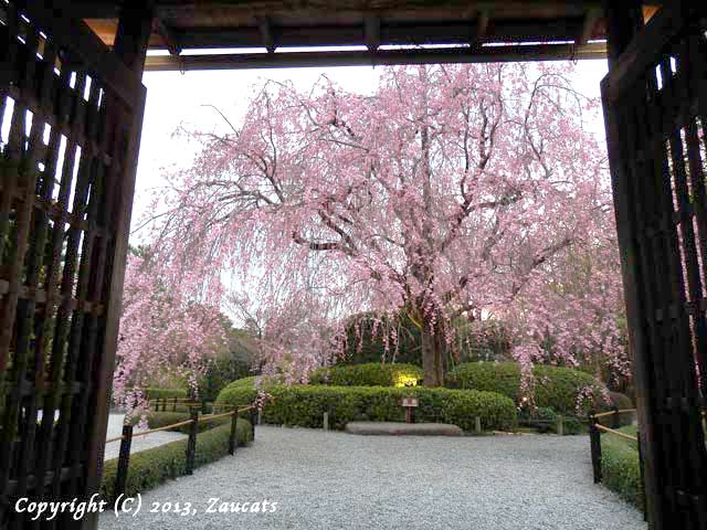 kiyomizu.jpg