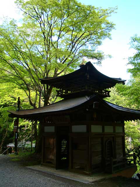 otaginenbutsu.jpg