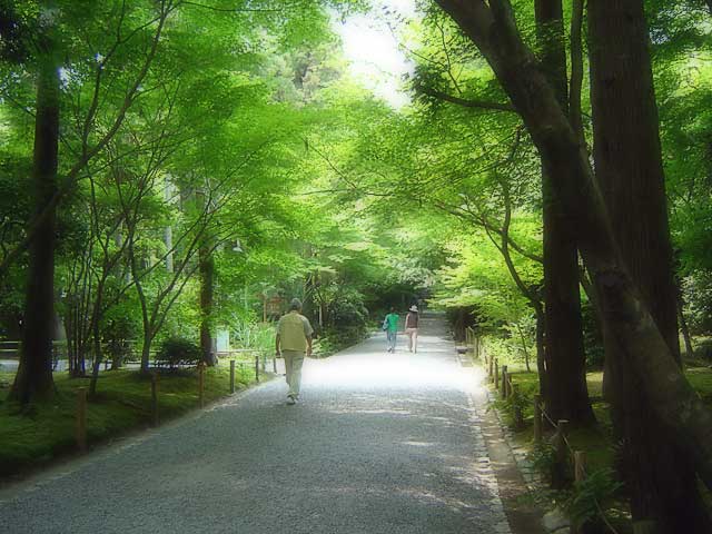 ryoanji1.jpg