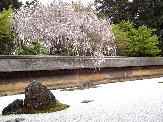 ryoanji31.jpg