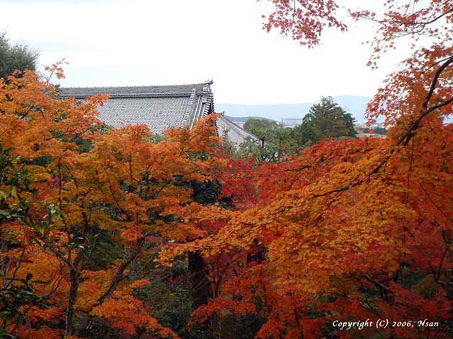 tenryuji11.jpg