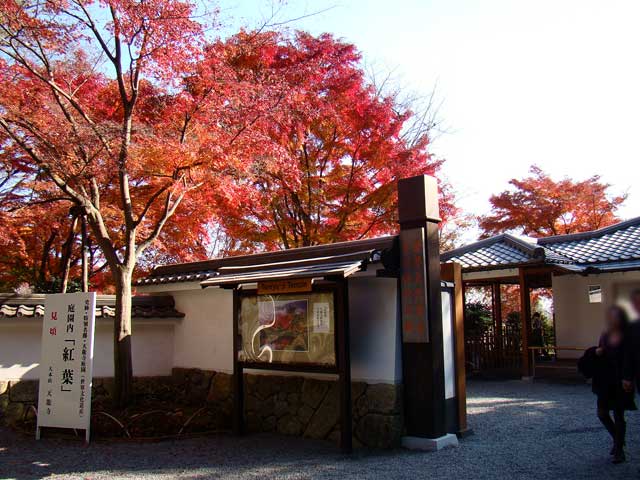 tenryuji2.jpg