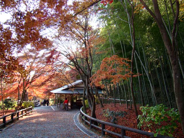 tenryuji2.jpg