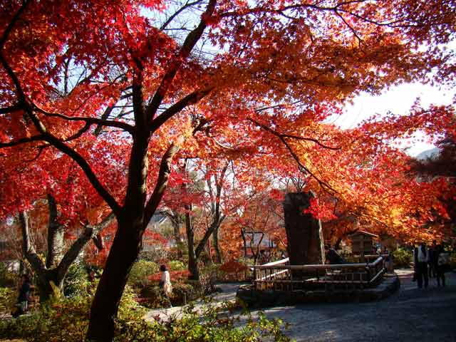 tenryuji2.jpg