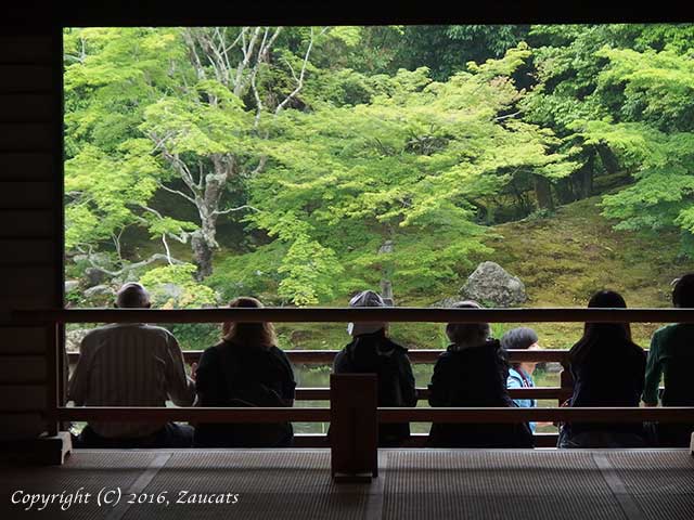 tenryuji31.jpg