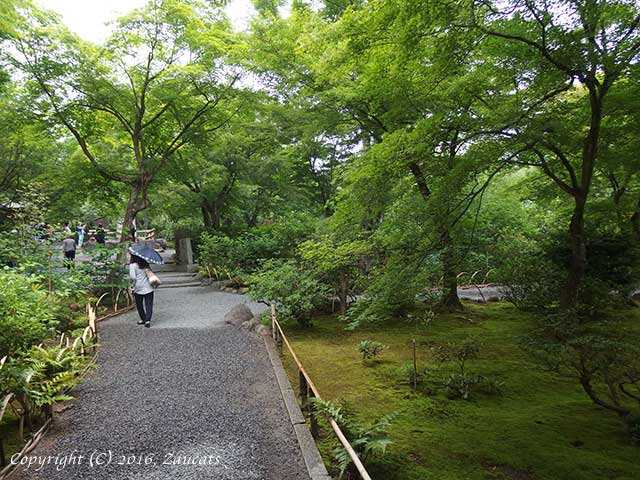 tenryuji31.jpg