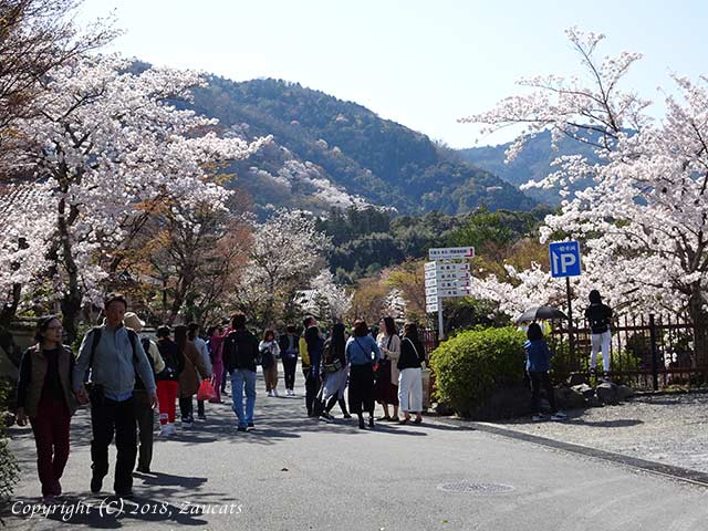 tenryuji41.jpg