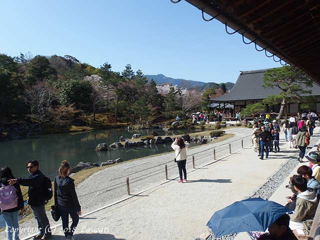 tenryuji41.jpg