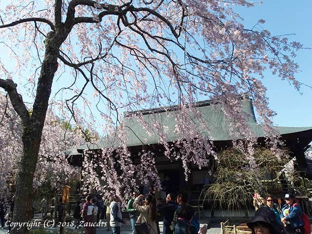 tenryuji51.jpg