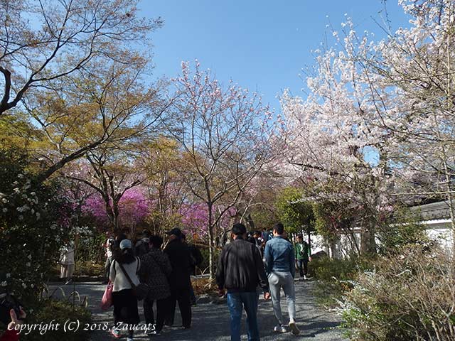 tenryuji51.jpg