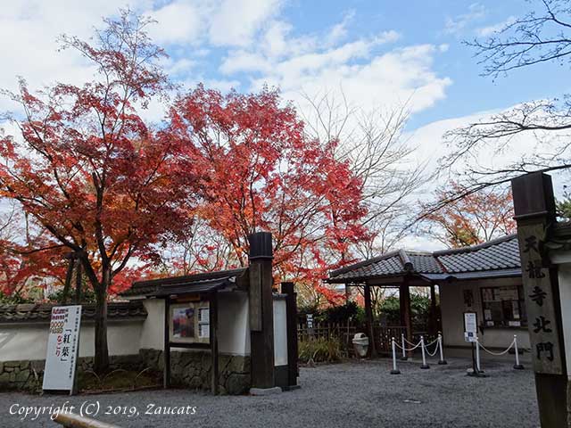 tenryuji61.jpg