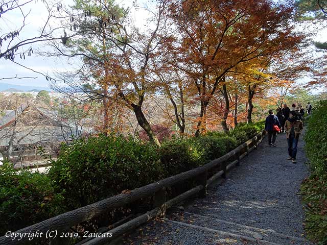 tenryuji61.jpg