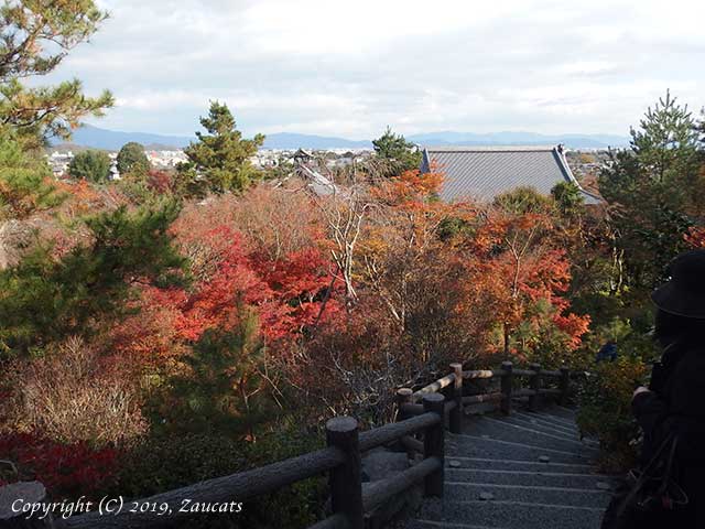 tenryuji61.jpg