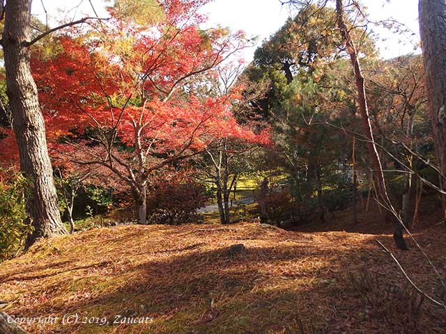 tenryuji61.jpg