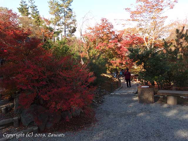 tenryuji61.jpg