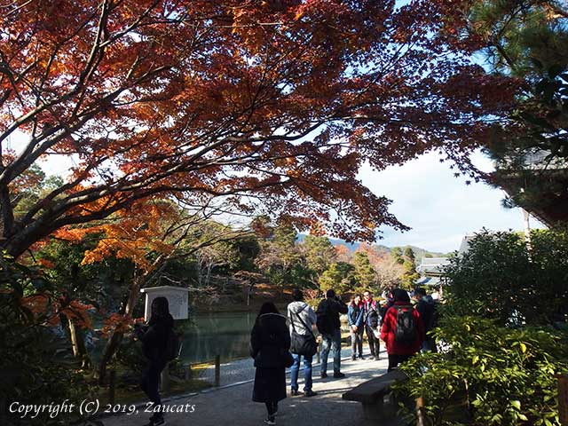 tenryuji61.jpg