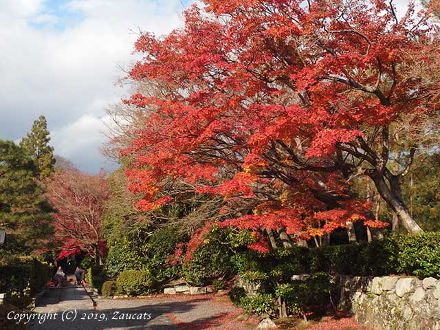 tenryuji61.jpg