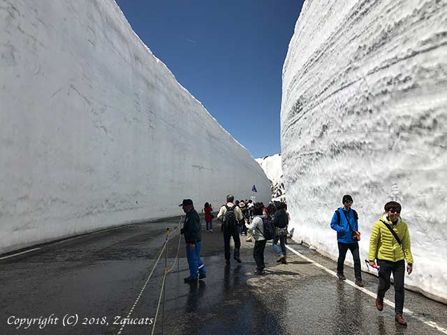 alpen_route31.jpg