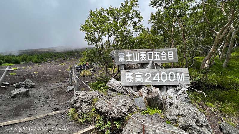 fujisan111.jpg