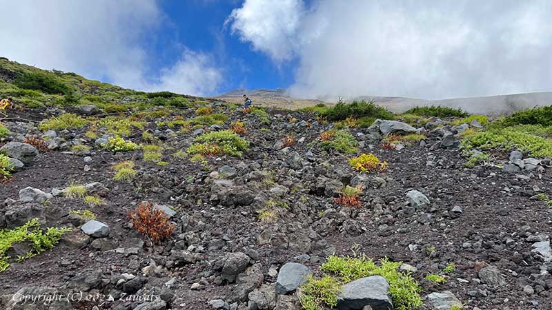 fujisan111.jpg