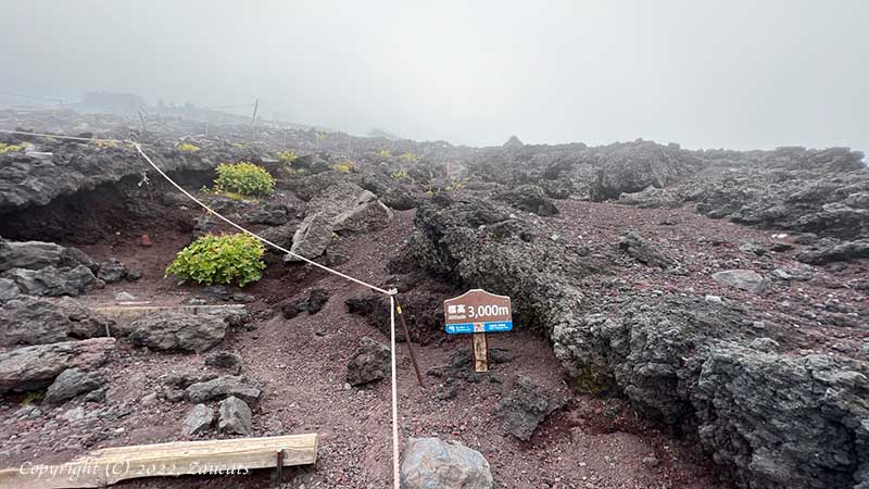 fujisan111.jpg