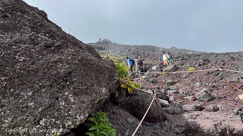 fujisan111.jpg