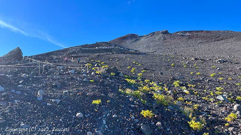 fujisan111.jpg