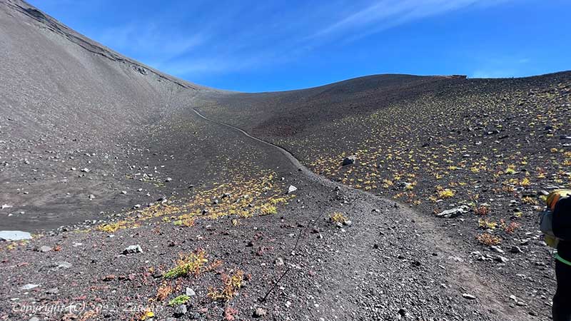 fujisan131.jpg