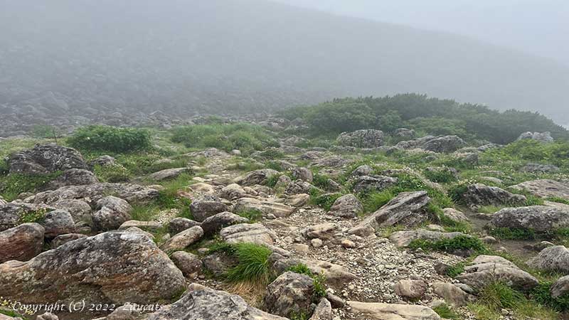 hakuba251.jpg