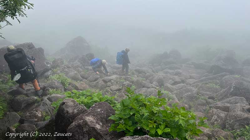 hakuba251.jpg