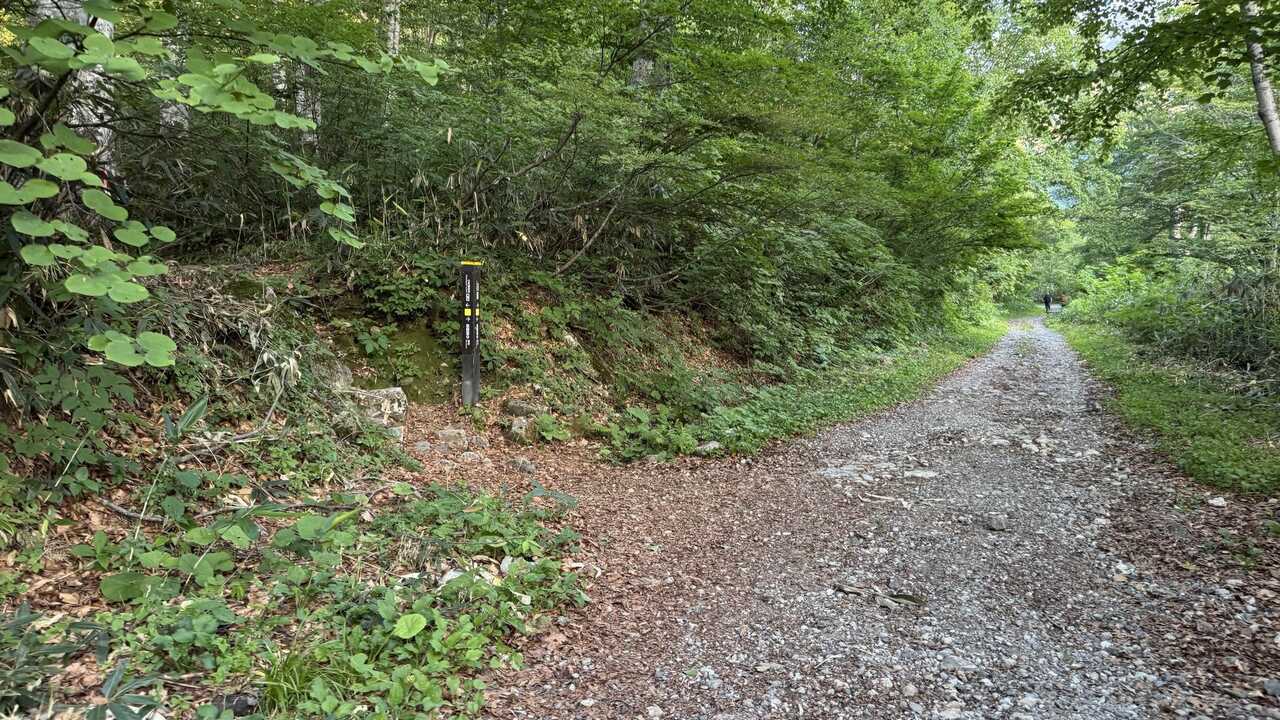hakuba3zan-2.jpg