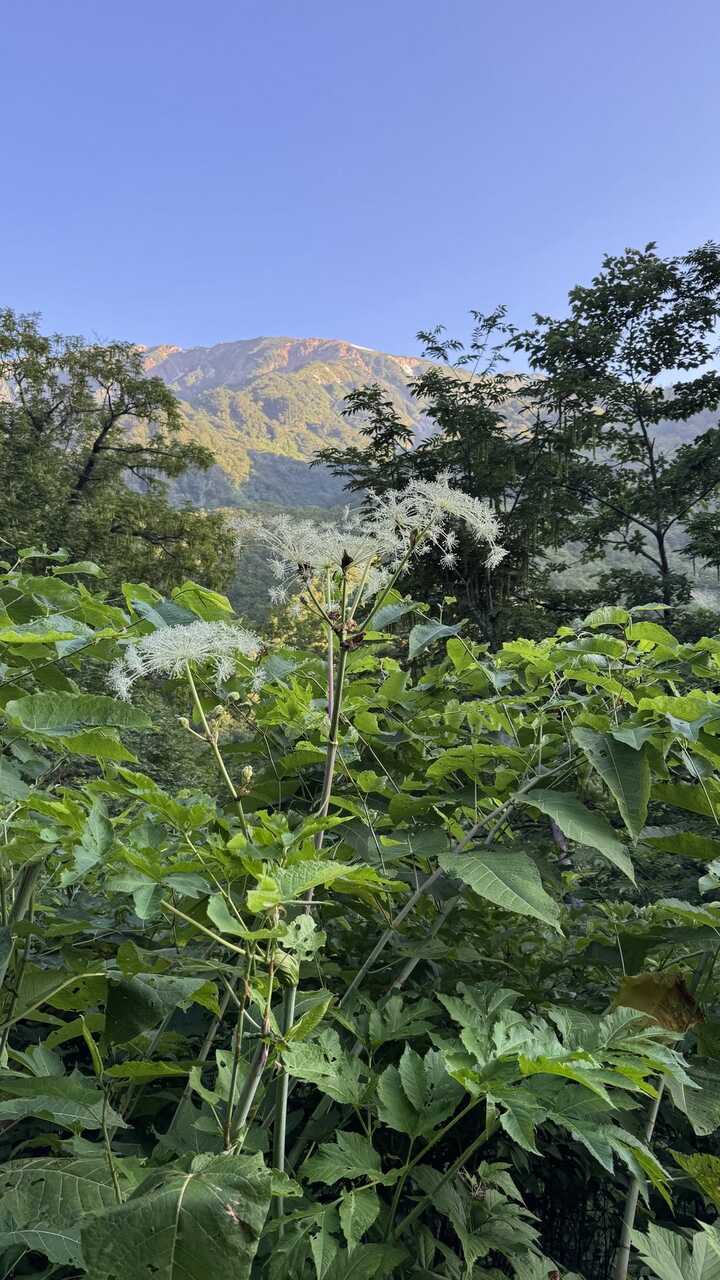 hakuba3zan-2.jpg