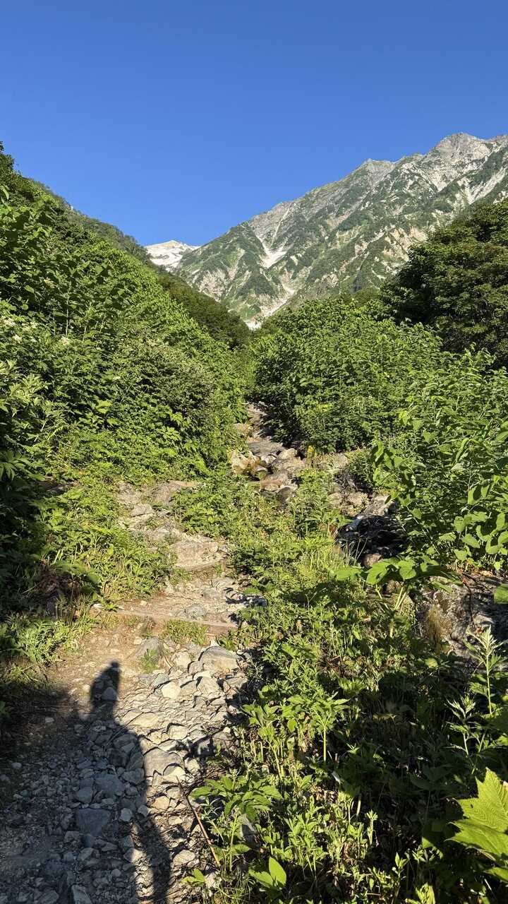 hakuba3zan-2.jpg