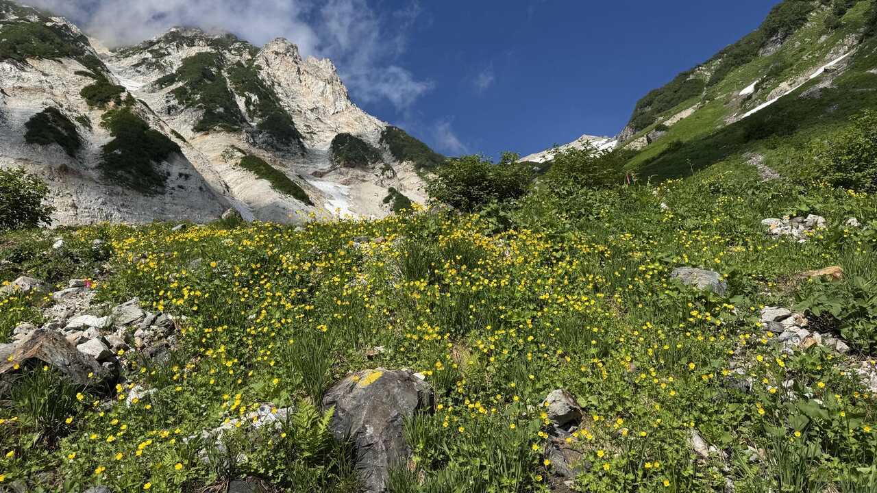 hakuba3zan-2.jpg