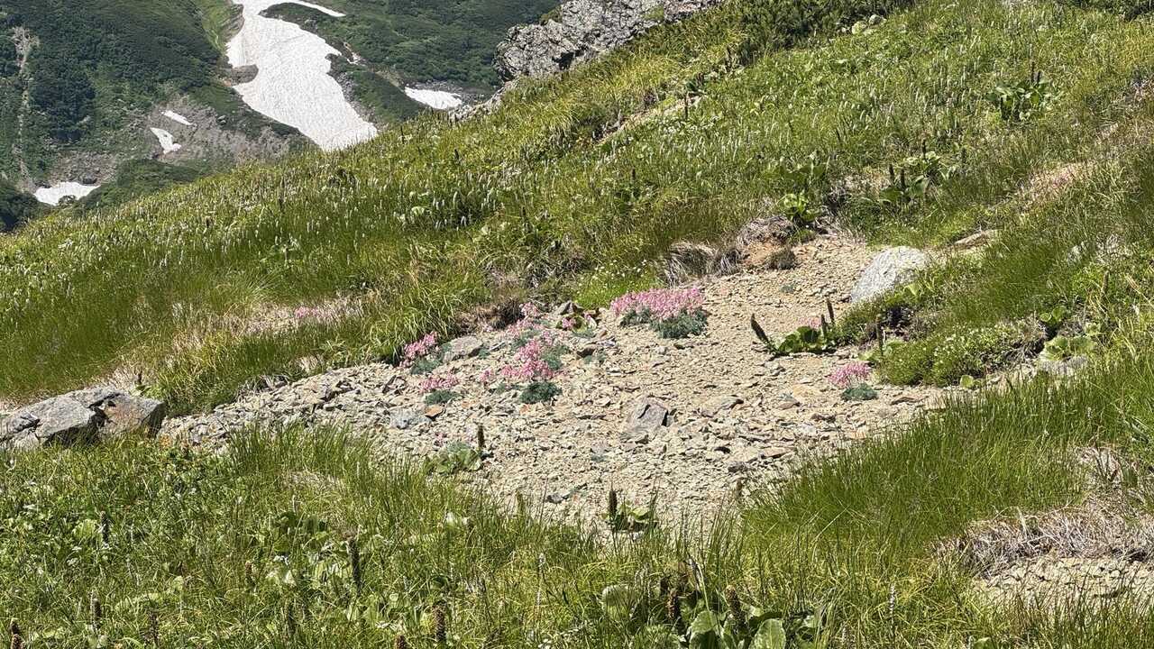 hakuba3zan-2.jpg
