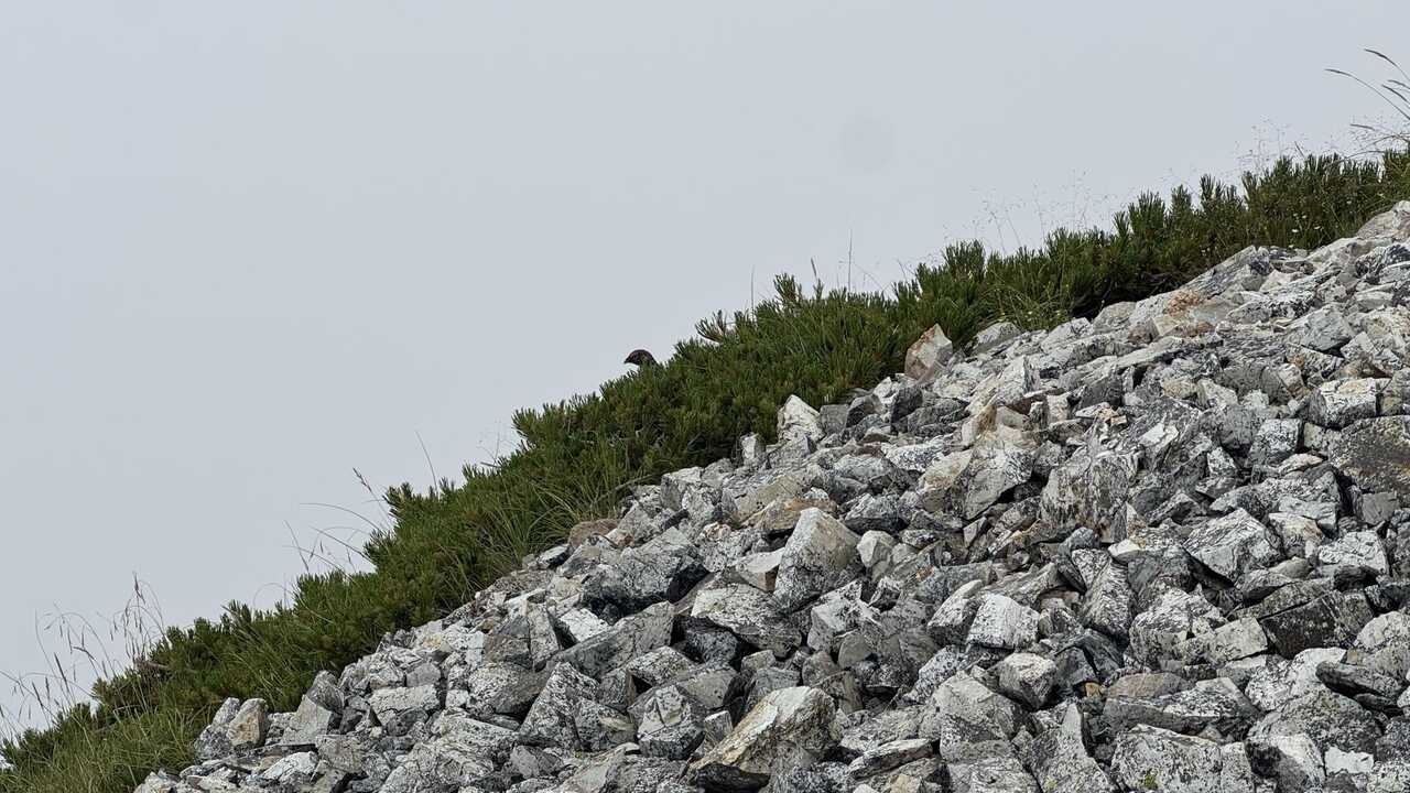 hakuba3zan-2.jpg