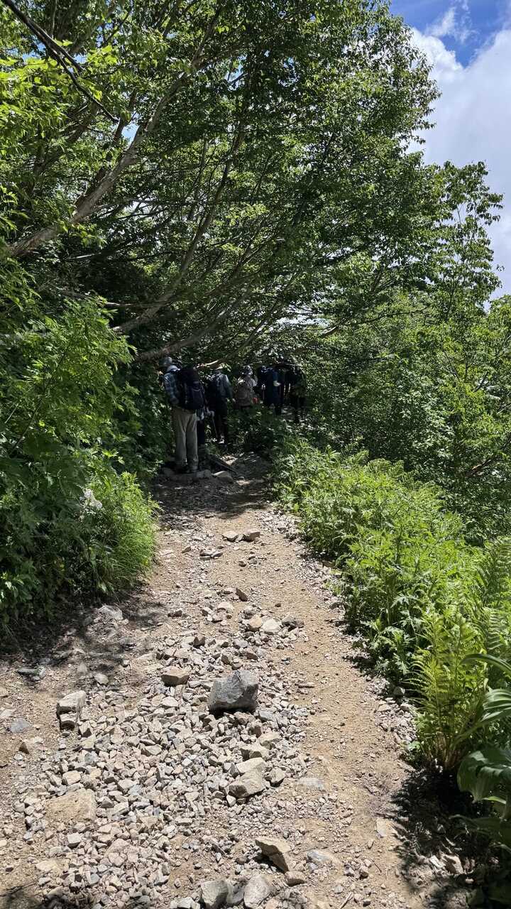 hakuba3zan-2.jpg