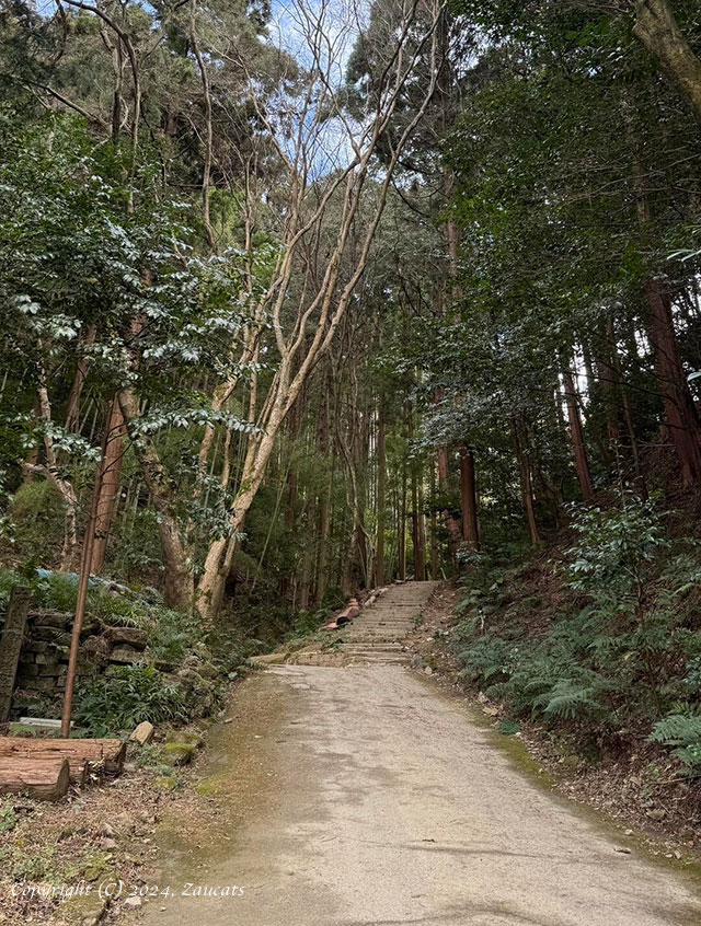 kyoto_trail111.jpg