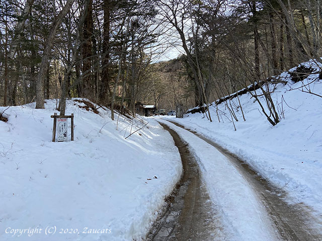 mitsutouge11.jpg