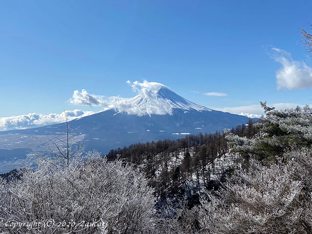 mitsutouge11.jpg