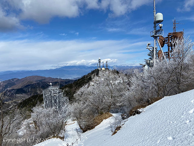 mitsutouge11.jpg