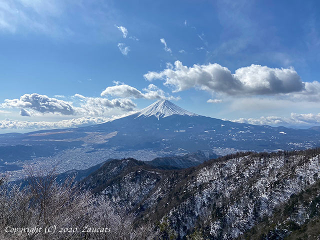 mitsutouge11.jpg